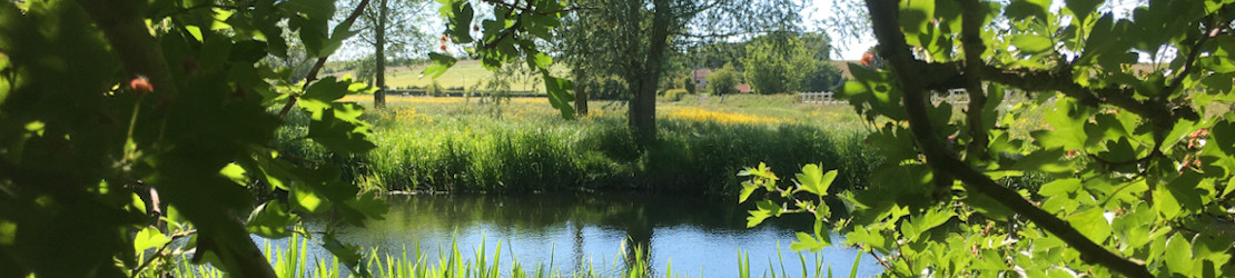 River Waveney Trust