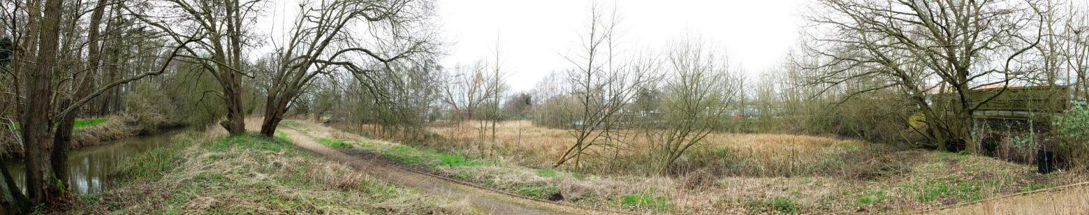 Wetland area behind Morrisons / Tesco Diss