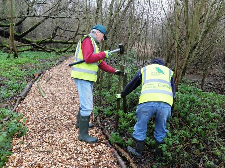 Starting the dead hedge