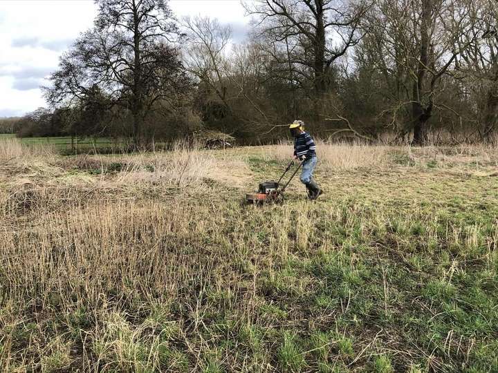 Mowing the meadow