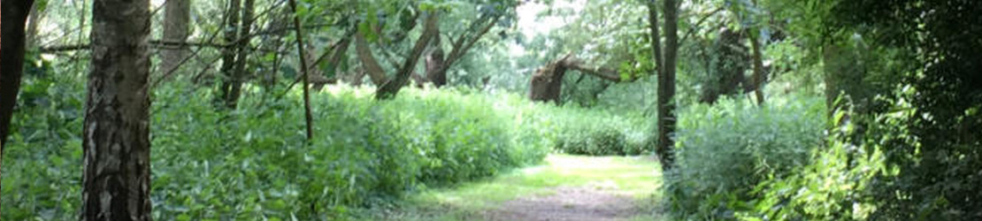 Scole Pocket Park