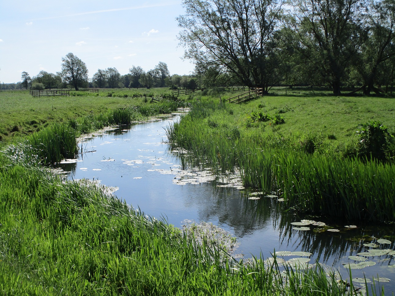 River Waveney