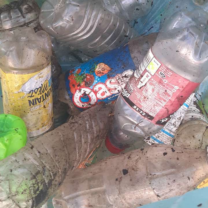 Plastic Bottles